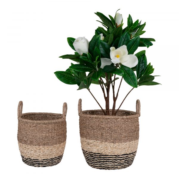 Blumenkorb